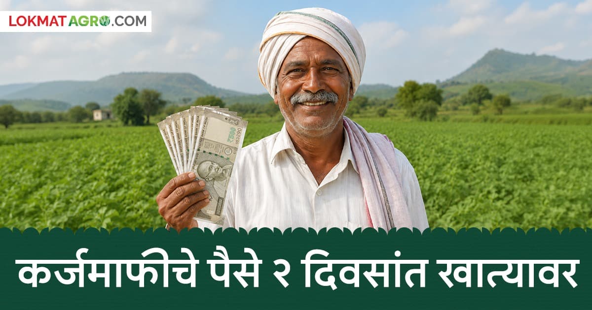 Loan Waiver: कर्जमाफीची प्रतीक्षा संपली! पात्र शेतकऱ्यांच्या खात्यात दोन दिवसांत जमा होणार रक्कम