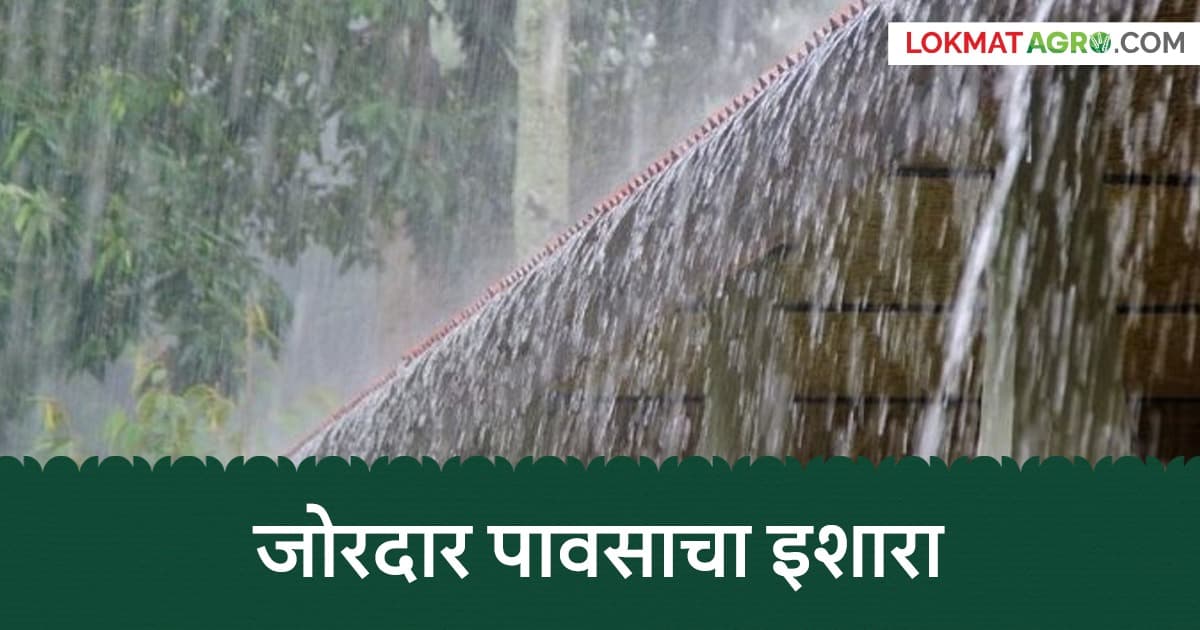 Weather Alert in Nashik:नाशिकच्या घाटमाथ्यावर आज जोरदार पावसाचा इशारा