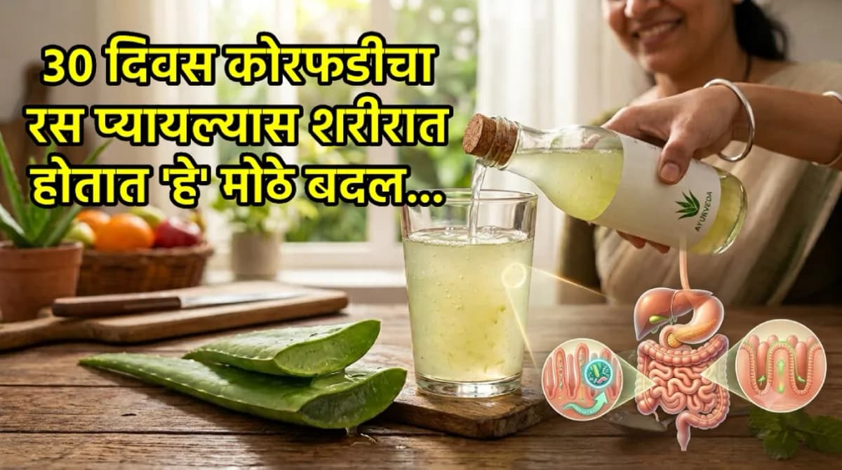 Aloe Vera Juice Benefits:कोरफडीचा रस सलग ३० दिवस प्यायल्यास काय होईल?