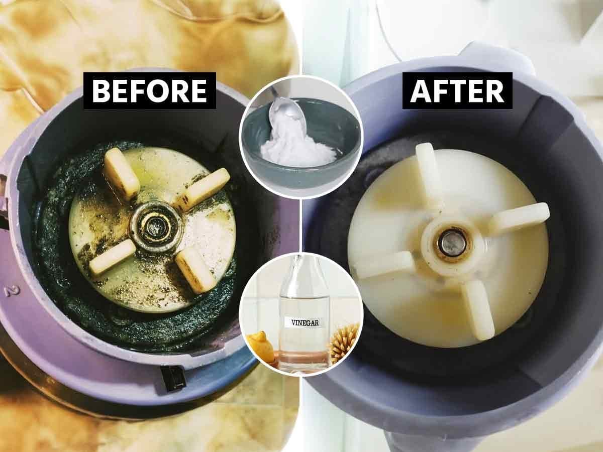 Cleaning Tips for Mixer:मिक्सरची स्वच्छता कशी करावी