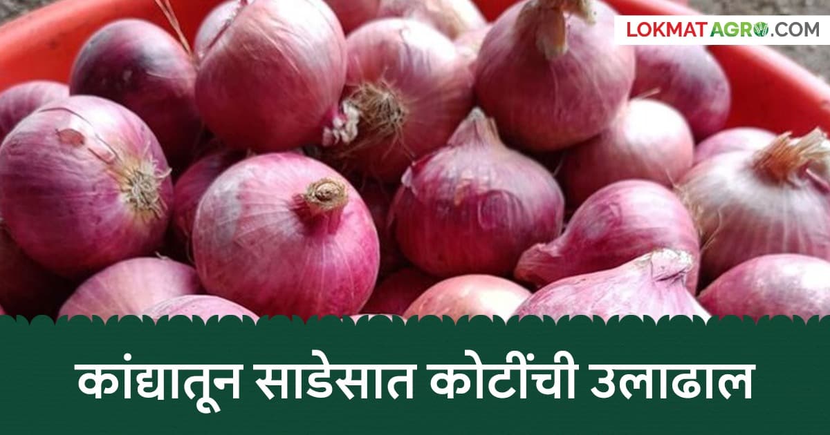 Onion Market Success:नेवासा बाजार समितीने कांद्याच्या लिलावातून साडेसात कोटींची उलाढाल केली