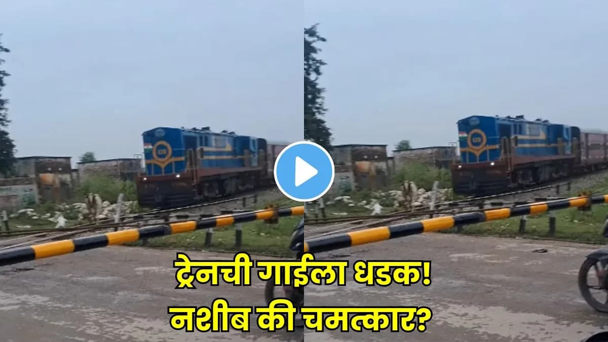 Train hits cow:गाईला धडक देणाऱ्या ट्रेनचा थक्क करणारा किस्सा