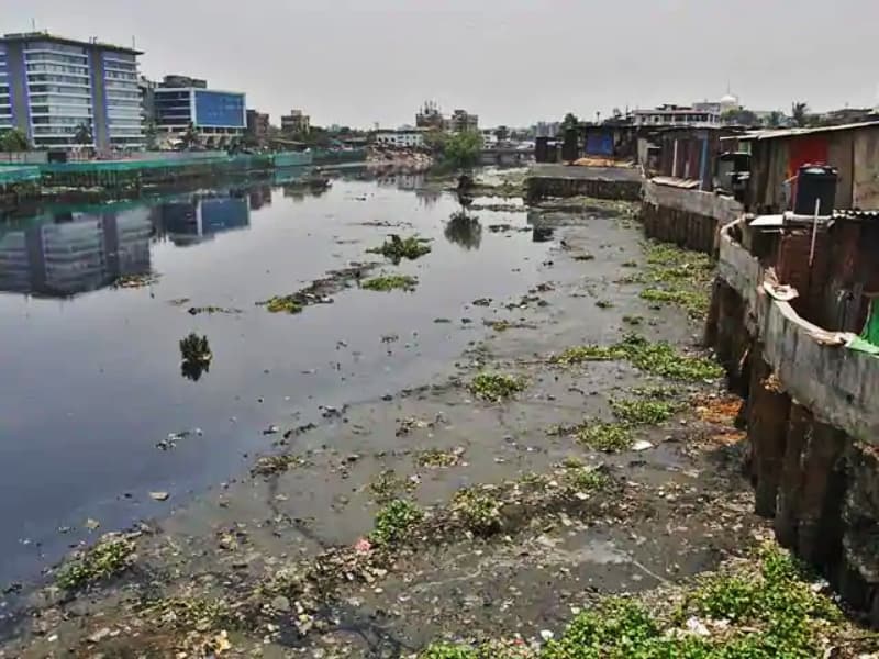 Revitalizing Mithi River: मिठी नदीच्या पुनरुज्जीवनाची कहाणी