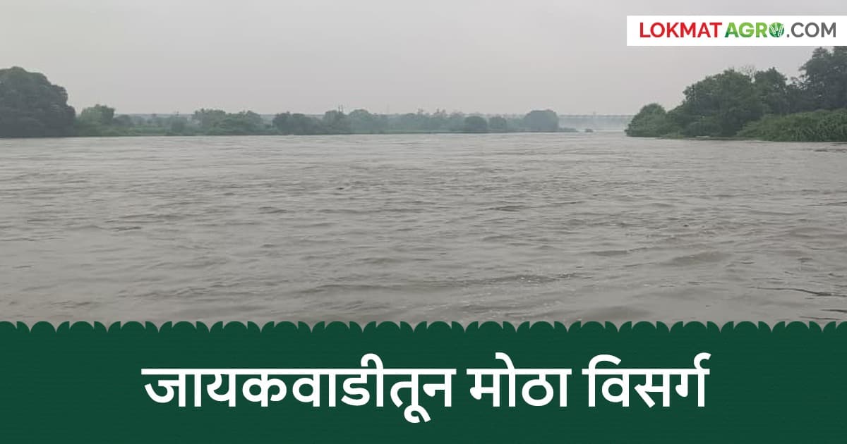 Jayakwadi Dam: जायकवाडीतून मोठा विसर्ग; अंबड-घनसावंगीतील कोणती गावे आहेत धोक्याच्या यादीत?
