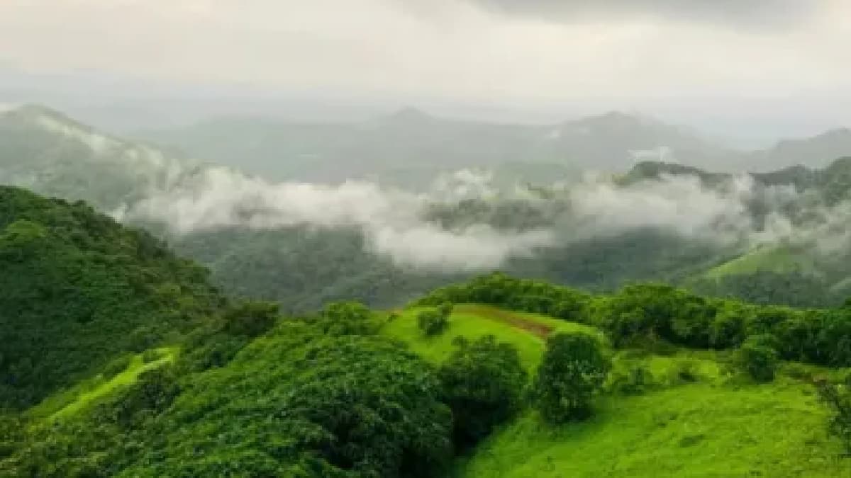 environmental sensitivity in a