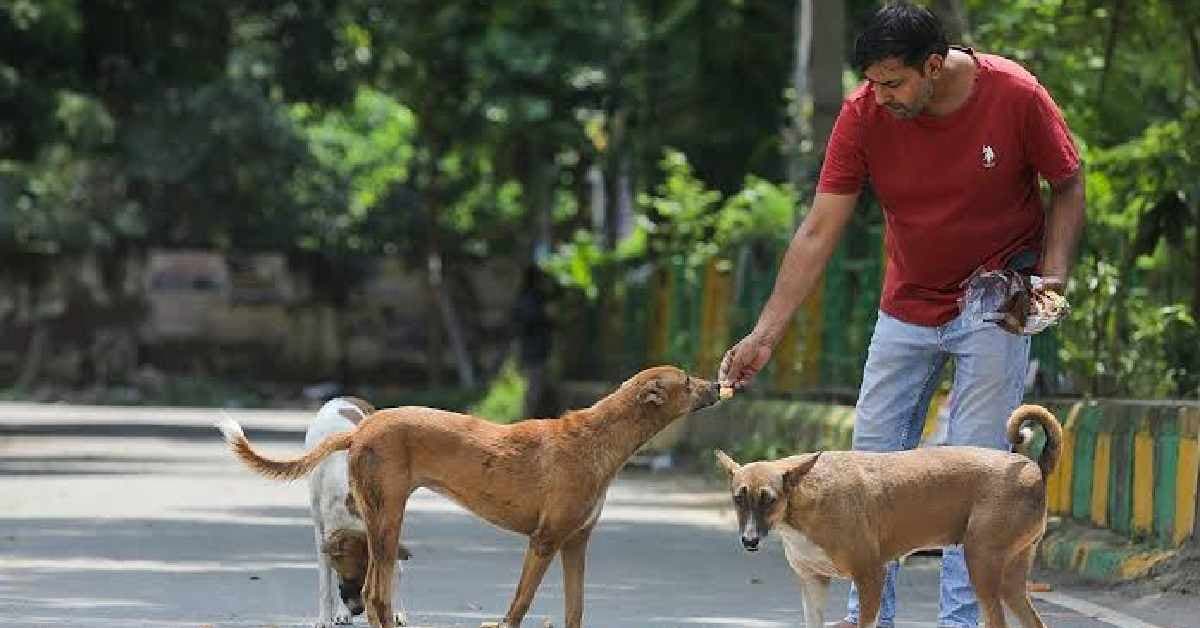 new regulations for feeding st
