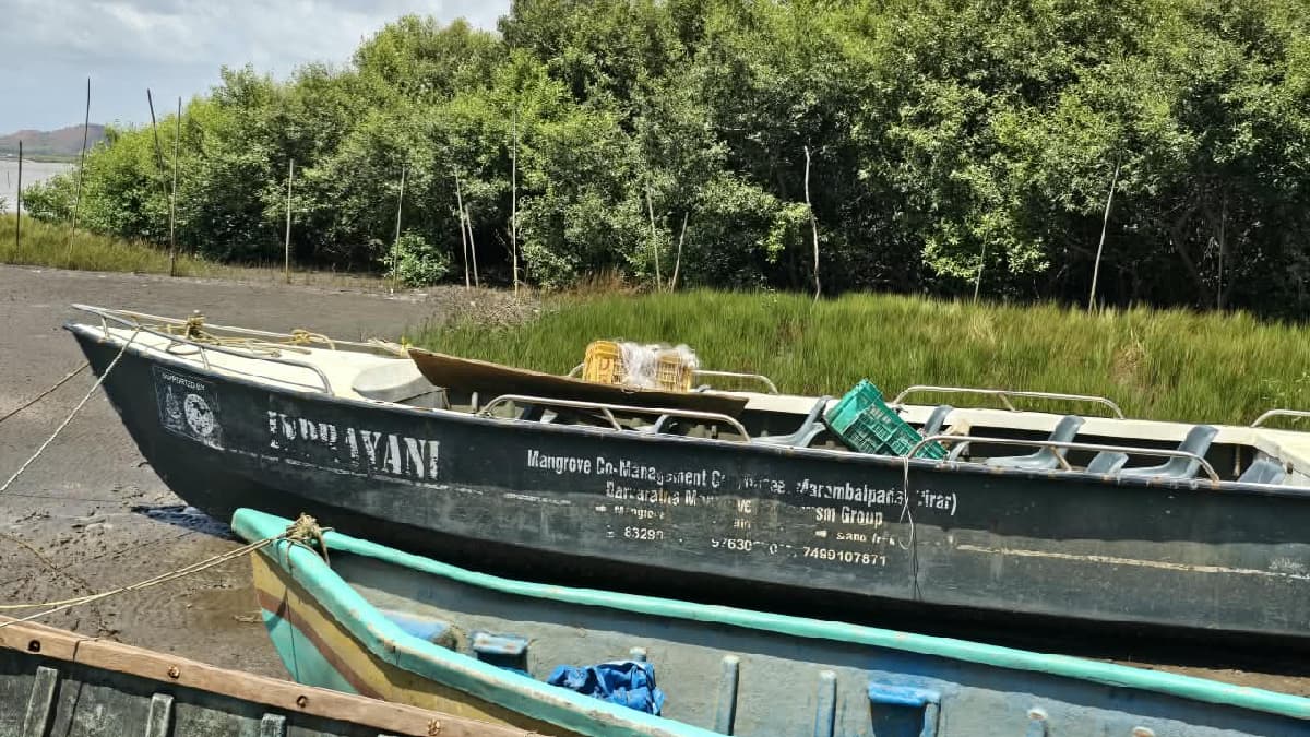Nature Tourism Center in Virar:विरारचे ‘निसर्ग पर्यटन केंद्र’ अडगळीत; प्रशासकीय दुर्लक्षामुळे लाखोंचा खर्च वाया