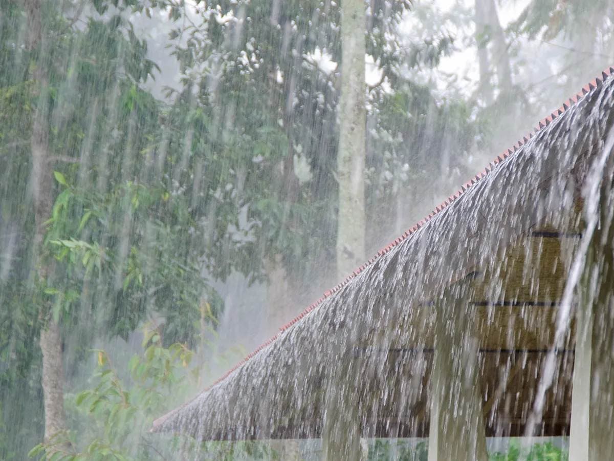 Rain Havoc in Himachal Pradesh:हिमाचल प्रदेशात पावसाचा कहर