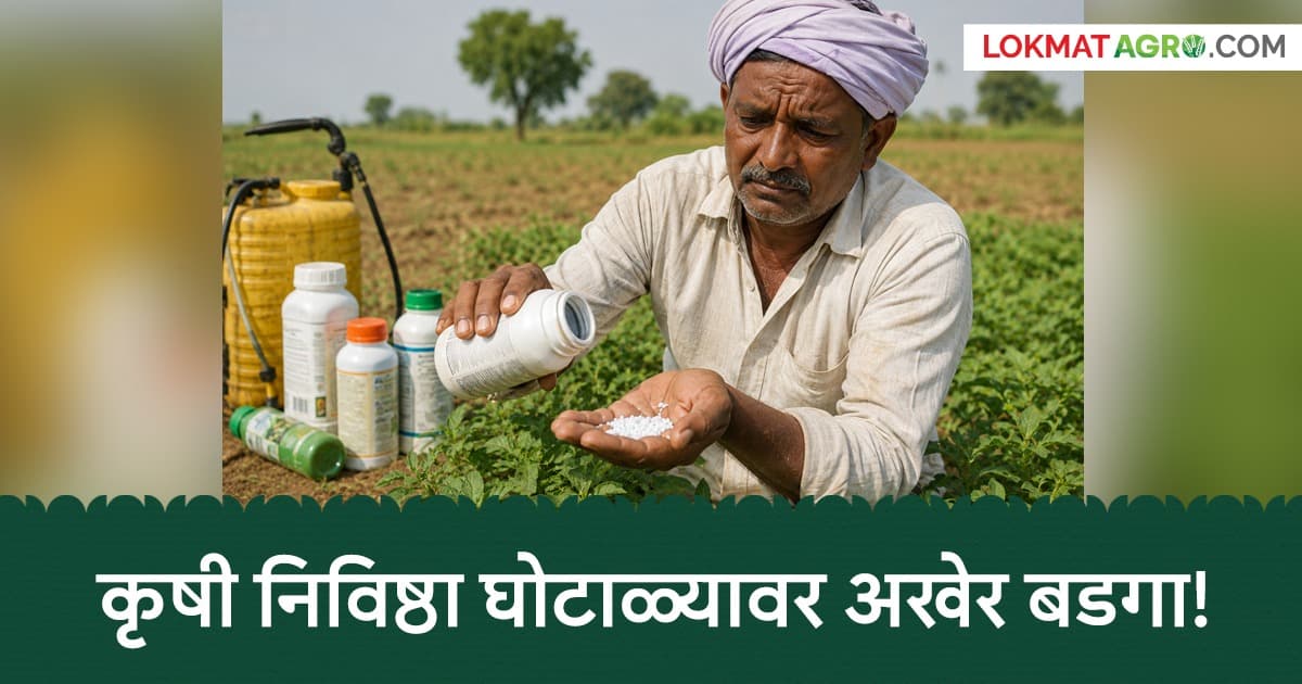 Agriculture Input Scam: मयतांच्या नावावरही कृषी निविष्ठा? बोगस याद्यांचा भांडाफोड; १४ अधिकारी निलंबित!