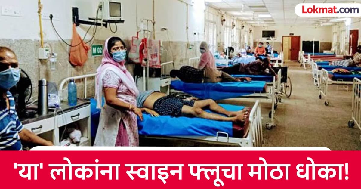 Swine Flu: आरोग्य सांभाळा! पावसाळ्यातच का वाढतात स्वाइन फ्लूचे रुग्ण? 'ही' लक्षणं दिसताच व्हा सावध
