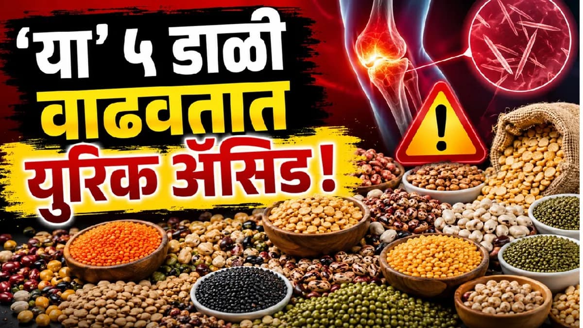 5 Lentils That May Increase Uric Acid Levels:युरिक ॲसिड वाढवणाऱ्या ५ डाळी