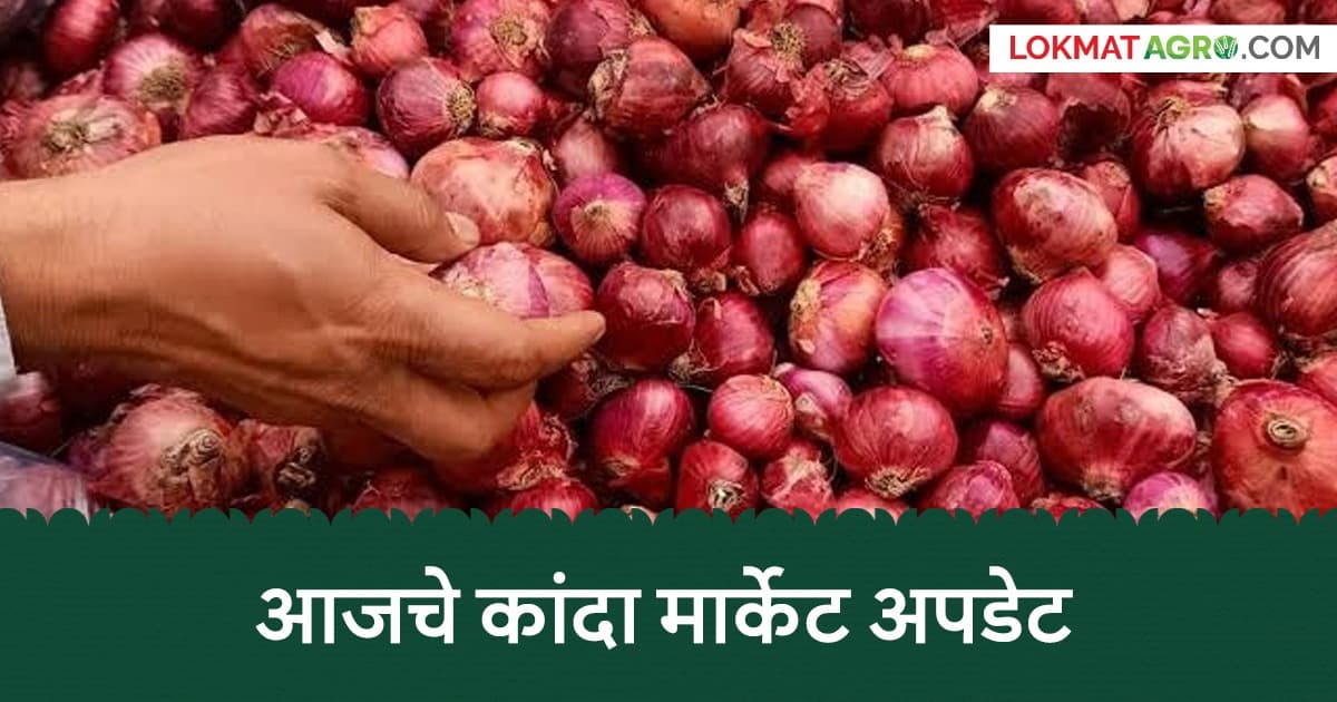 Kanda Market: कांद्याच्या दरात वाढीचा आलेख