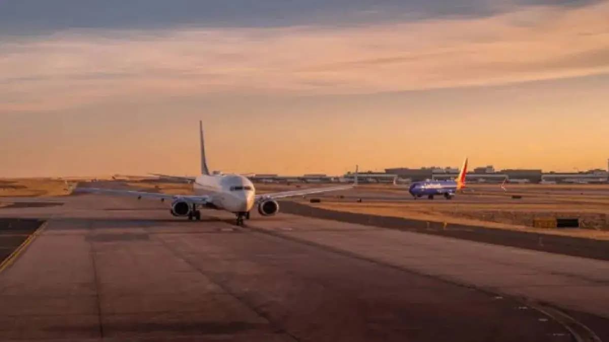 Pune Airport: पुणे विमानतळावर पक्ष्यांचा त्रास, सुरक्षा उपाययोजना सुरू