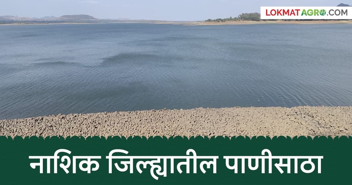 Nashik Dam Storage: नाशिकच्या धरणांचा पाणीसाठा किती टक्के भरला?