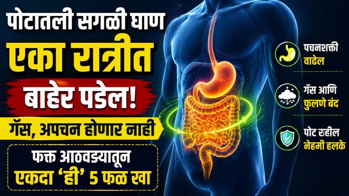 Constipation Relief:बद्धकोष्ठतेपासून आराम मिळवण्यासाठी ५ फळे