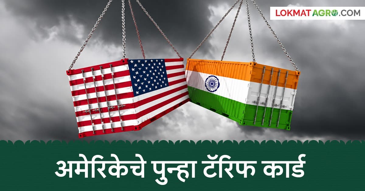 America Tariff: अमेरिका भारतावर 100 टक्क्यांपर्यंत टेरिफ लावणार, आयातीवर काय परिणाम होईल?