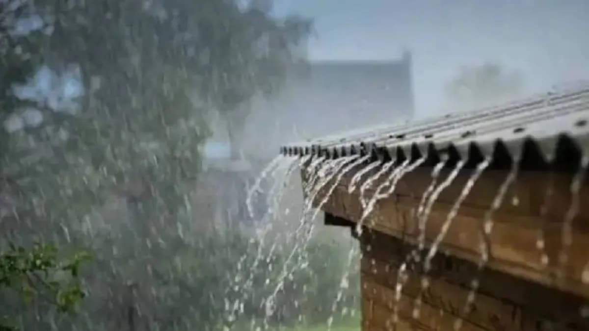 Rainfall Statistics:राज्यात पावसाने सरासरी गाठली; मराठवाडा, विदर्भात पावसाची ओढ