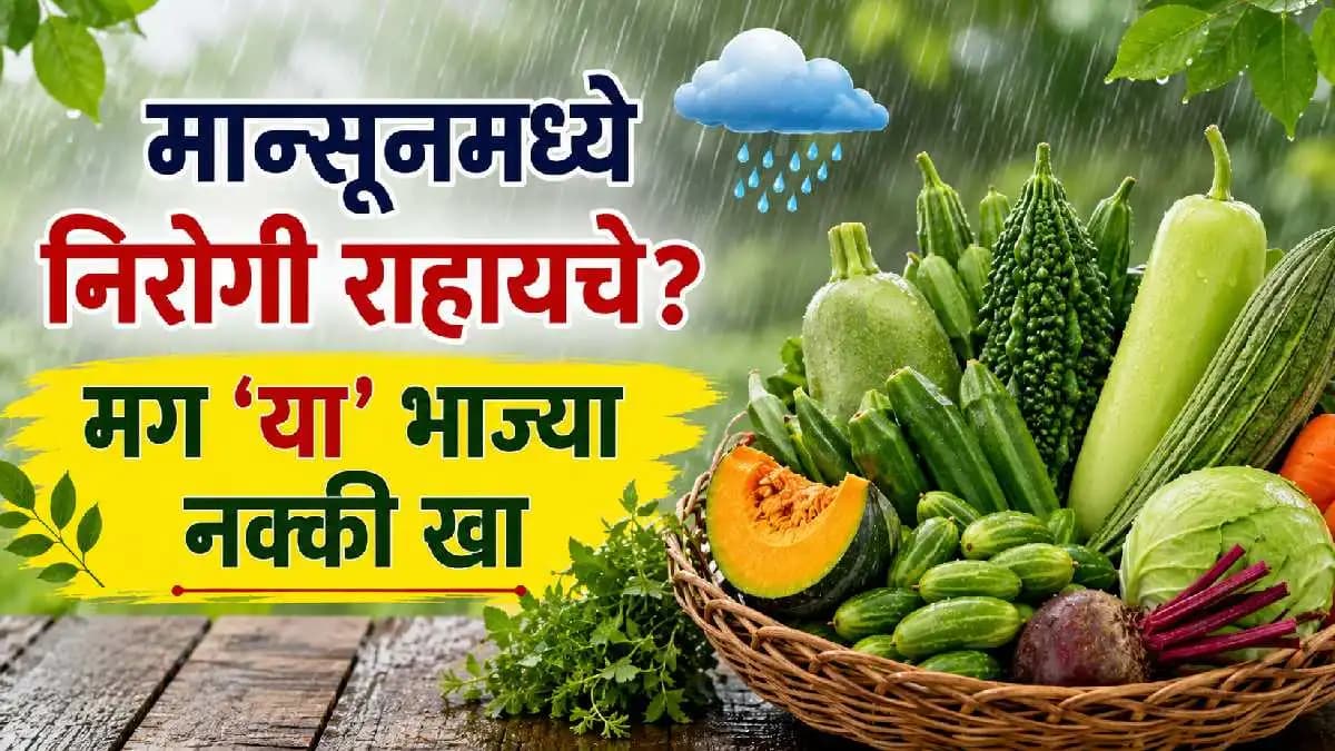 Vegetables For Health:पावसाळ्यात 'या' भाज्या ठरतील आरोग्याचे कवच; आजार राहतील दूर