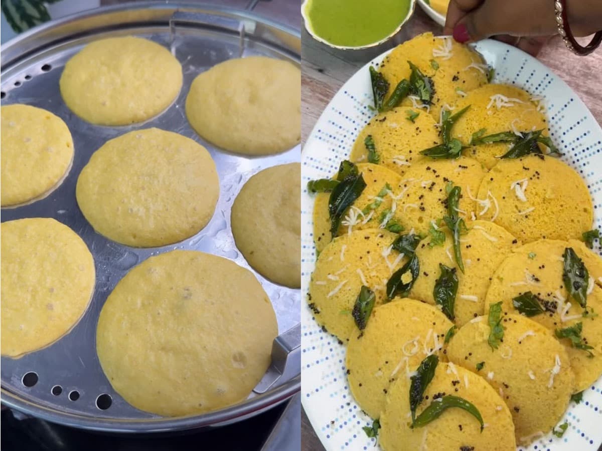 Quick Nylon Khaman Idli Recipe:झटपट नायलॉन खमन इडलीची रेसिपी