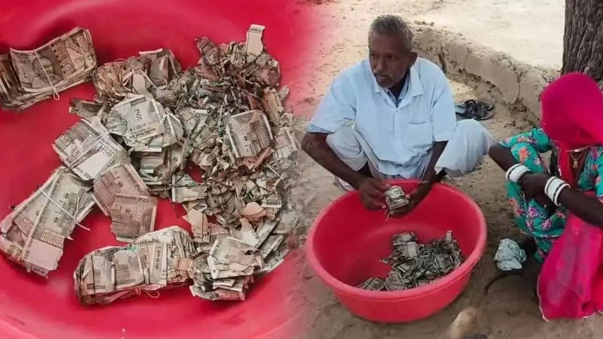 Shocking Discovery: शेतकऱ्याच्या जमिनीखाली पुरलेले पैसे सापडले