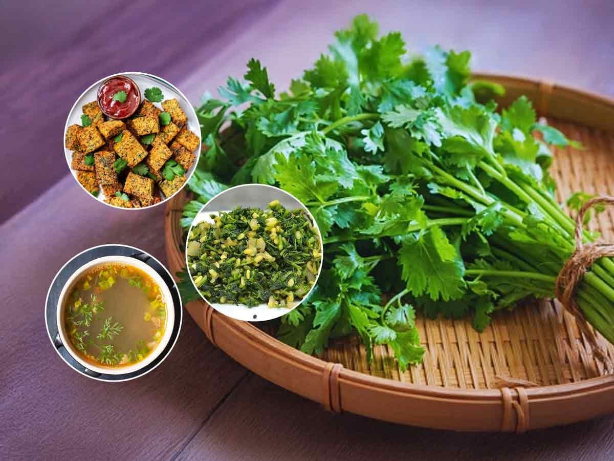 Coriander Delicacies:कोथिंबीरीचे ५ पदार्थ -पारंपरिक पौष्टिक आणि चमचमीत! हिरव्यागार कोथिंबीरीची एक जुडी-पावसाळ्यात खाण्याची चंगळ