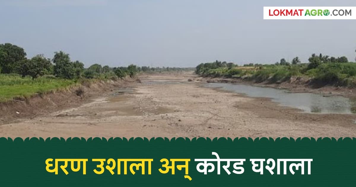 Water Crisis in Karmla:करमाळा तालुक्यात पाण्याचा गंभीर तुटवडा