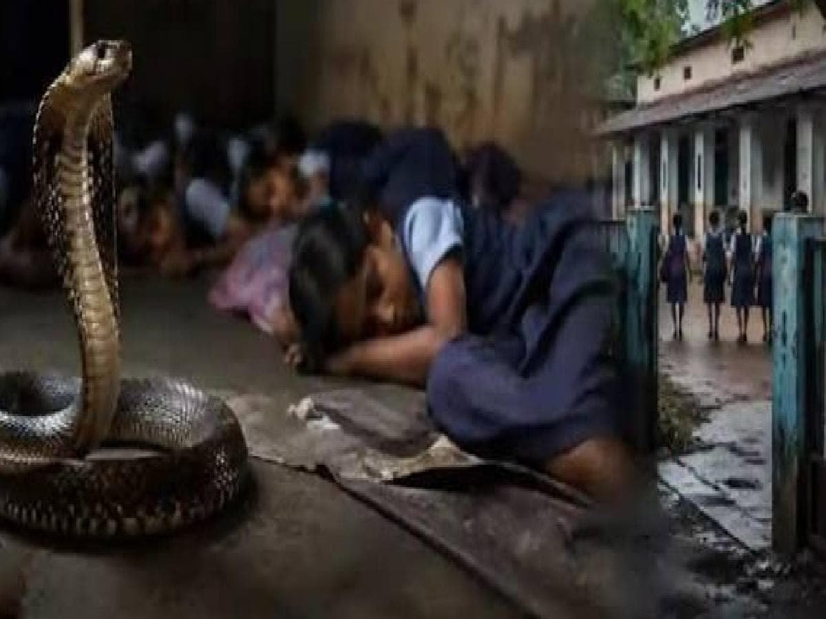 Education or Punishment?:विद्यार्थ्यांना शिक्षण की शिक्षा? ९५% आश्रमशाळांमध्ये झोपायचे वांदे