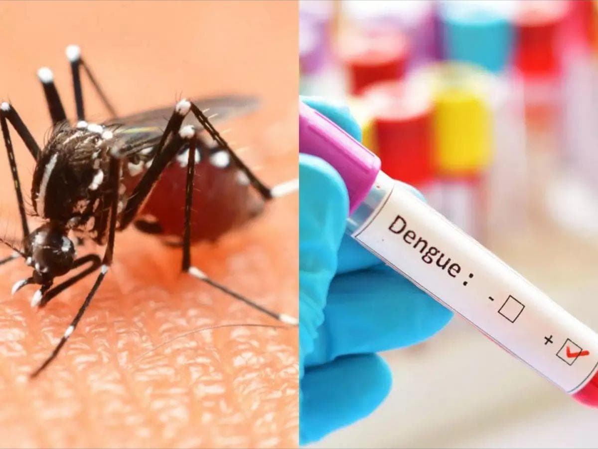Dengue Outbreak in South Goa:दक्षिण गोव्यात डेंग्यूचा प्रादुर्भाव वाढत आहे